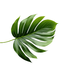 Decorative garden leaves